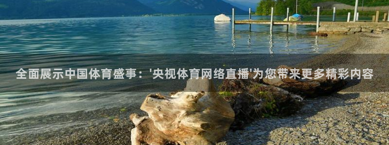 9255tv直播在线直播：全面展示中国体育盛事：\'央视体育网络直播\'为您带来更多精彩内容