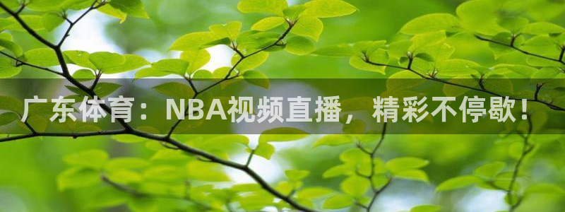 9255tv直播：广东体育：NBA视频直播，精彩不停歇！