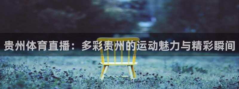 9255tv直播：贵州体育直播：多彩贵州的运动魅力与精彩瞬间