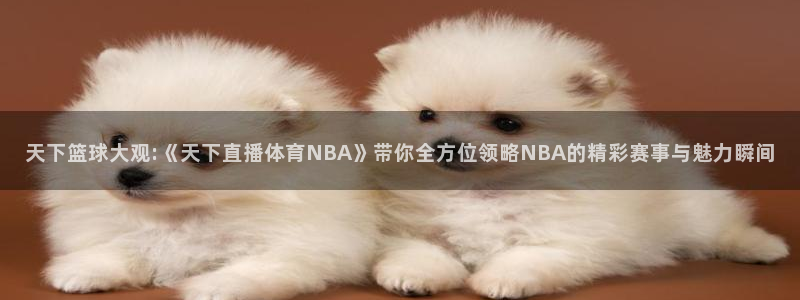 9255tv直播nba在线观看：天下篮球大观:《天下直播体育NBA》带你全方位领略NBA的精彩赛事与魅力瞬间