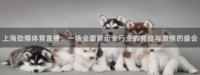 9255tv直播nba5在线直播最新