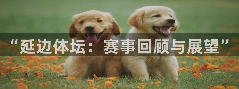 9255tv直播：“延边体坛：赛事回顾与展望”